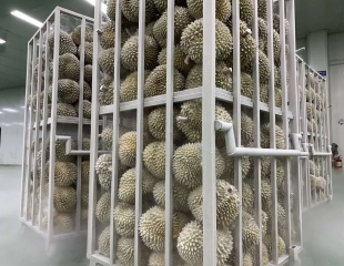 BIẾN ĐỘNG BẤT THƯỜNG, MẶT HÀNG LẠNH GÂY SỐT TOÀN THỊ TRƯỜNG